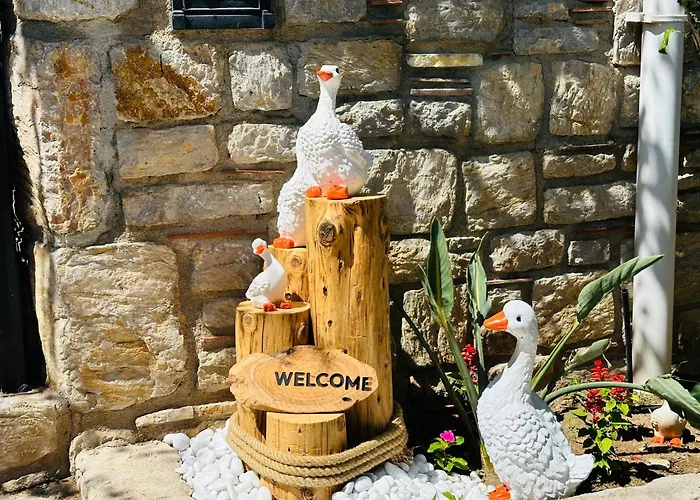 Villa Anfora Hotel 3*