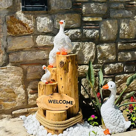 Villa Anfora Hotel 3*